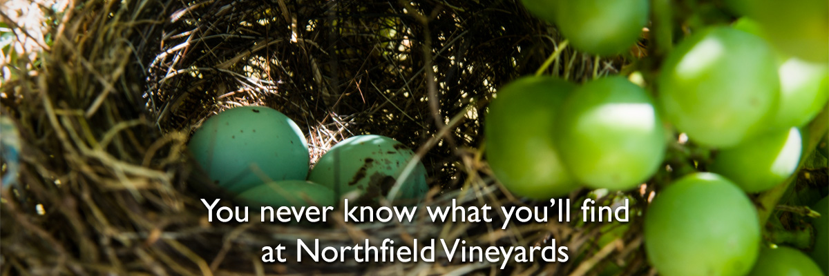 You Never know what'll you find