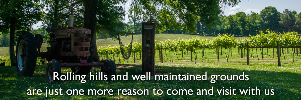 Come and visit with us